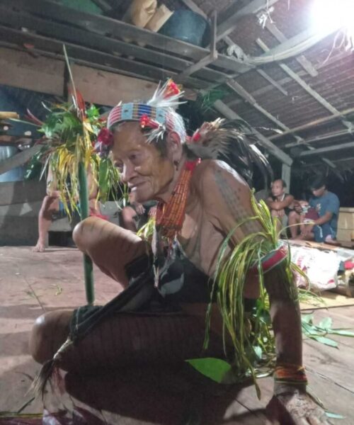gallery - natural trip mentawai (15)